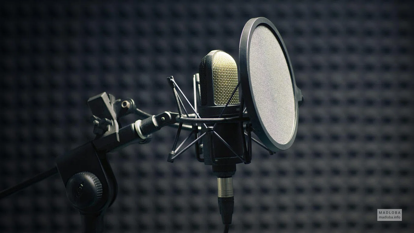 Микрофон для звукозаписи студия Далант