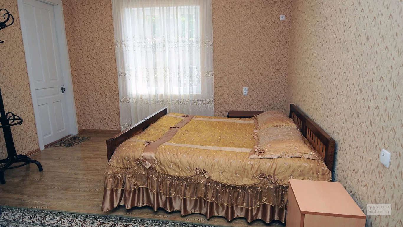Двухместный номер с одной кроватью в хостеле Дареджани