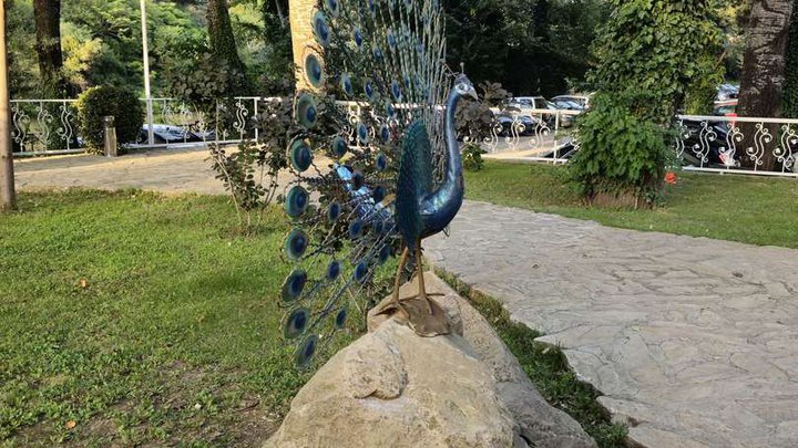 Decorative figurine of a peacock