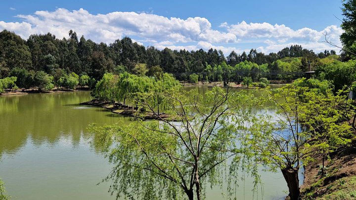 Ivanishvili Dendrological Park in Shekvetili