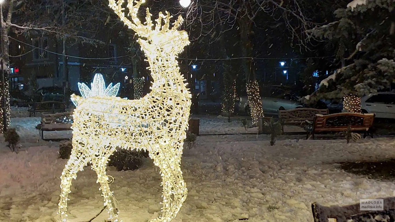 Городской парк имени Дмитрия Кипиани в Хашури