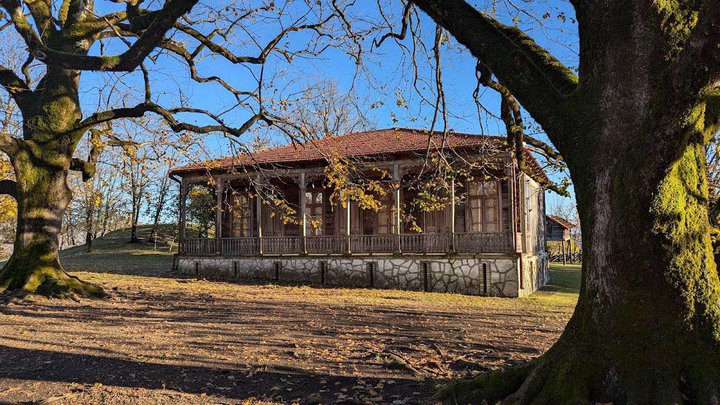 Дом-музей Нико Лордкипанидзе в Чунеши – История и культурное наследие грузинского писателя