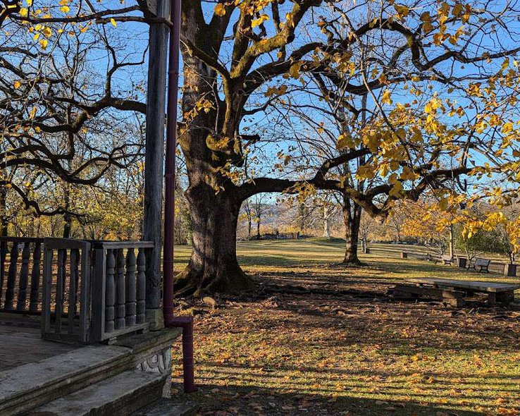 Дом-музей Нико Лордкипанидзе в селе Чунеши - 18.jpg