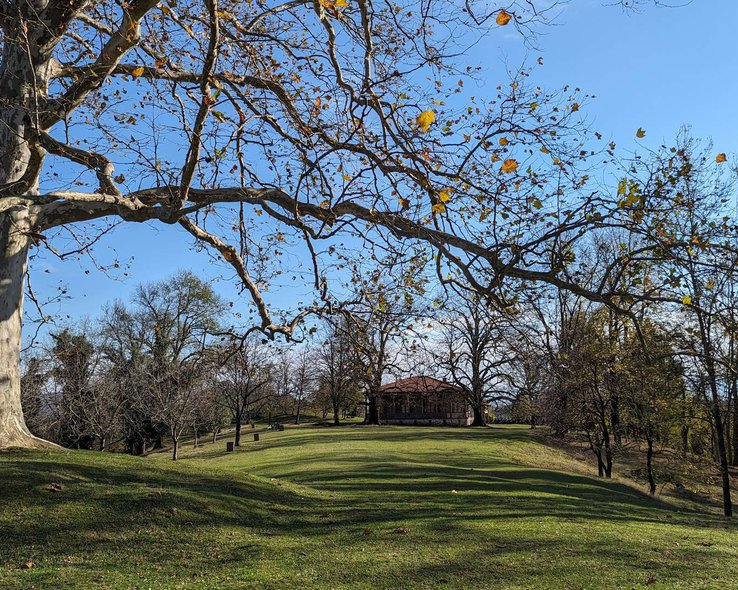 Дом-музей Нико Лордкипанидзе в селе Чунеши - 04.jpg