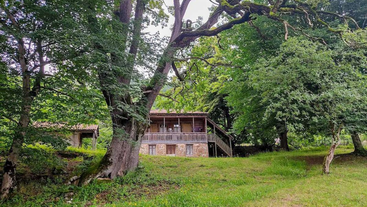 📖 История музея