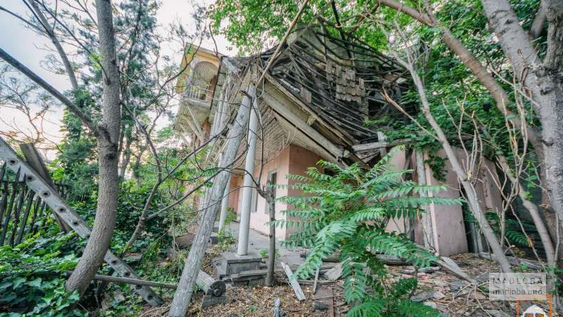 Заросшая заброшка около парка Рике в Тбилиси