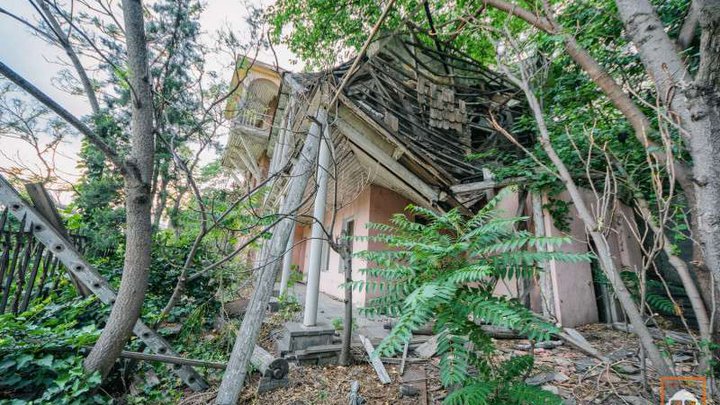 Дом над парком Рике