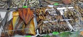 Fresh fish_ka