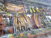 Fresh fish_ka