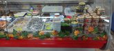Fresh fish_ka