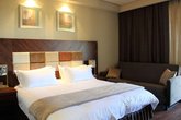 Dreamland Oasis ფუფუნება 1801