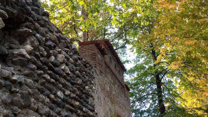 Fortress-fort Napareuli