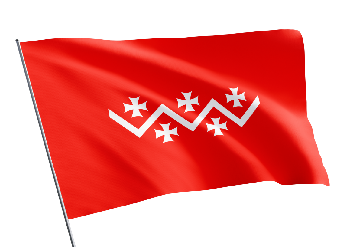 Dusheti municipality flag