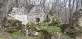Дворцовый наэклесиари, Мамкода