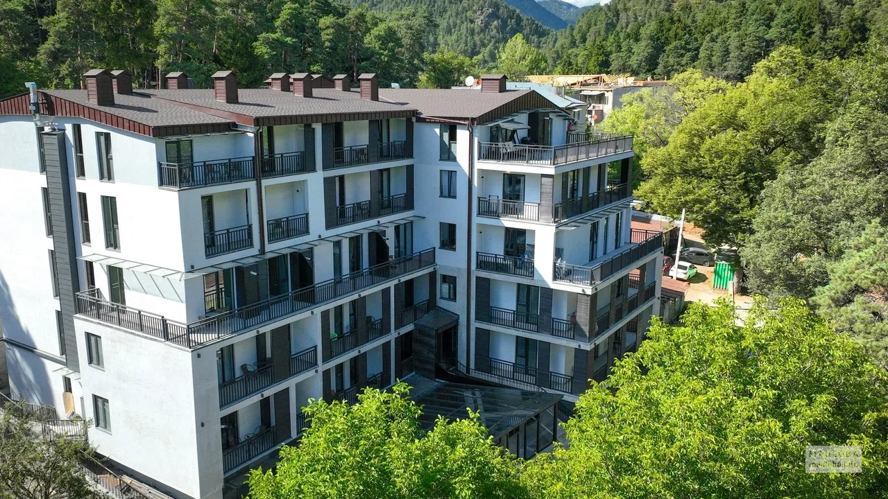 EIKON Apartments — апартаменты класса люкс в Абастумани среди природы