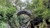 Earth Bridge