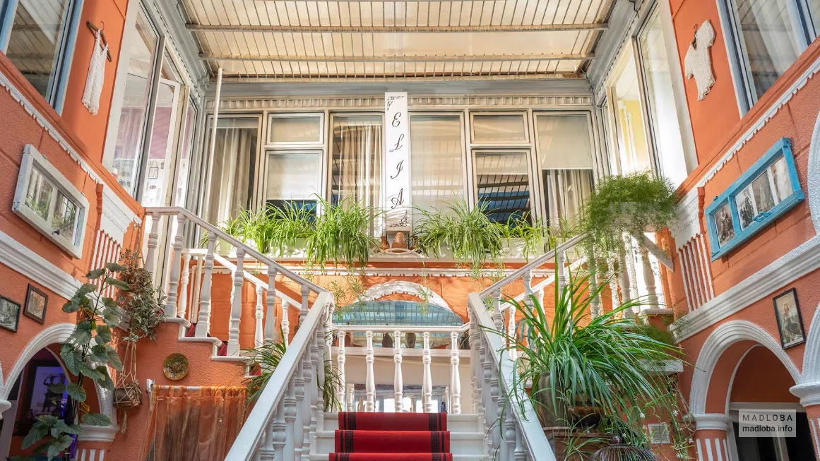 Elia Boutique Hostel