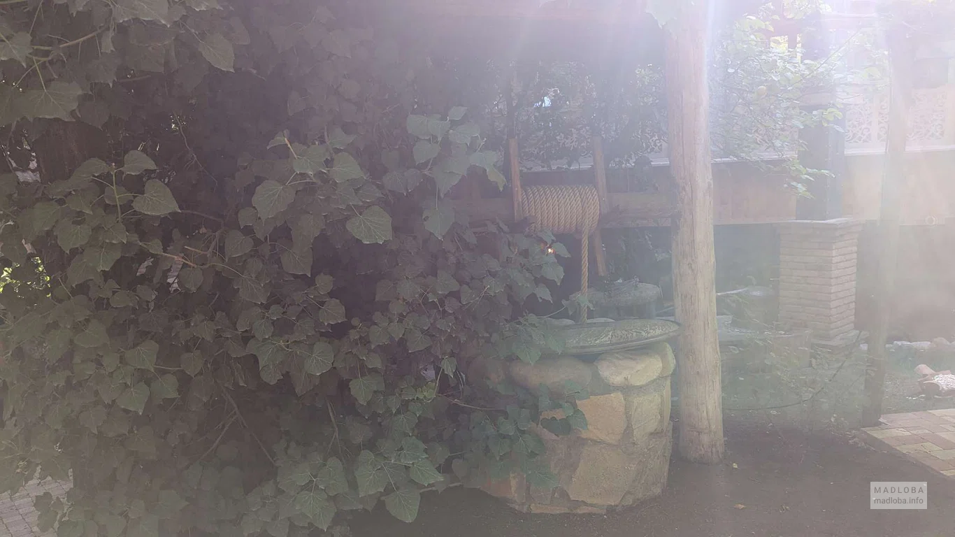 Колодец на территории ресторана Ethnographer