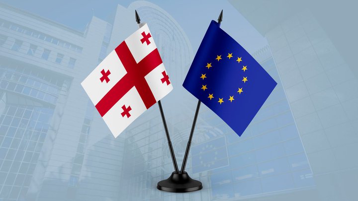 Делегация Европейского Союза в Грузии