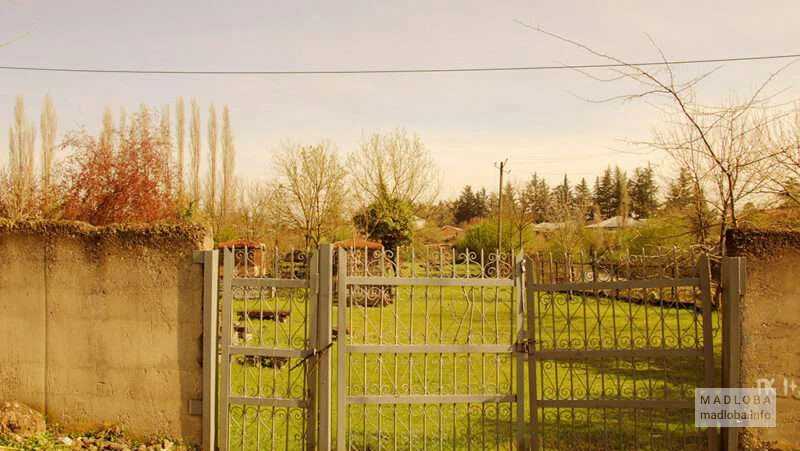 Jewish cemetery