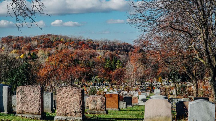 Jewish cemetery Surami