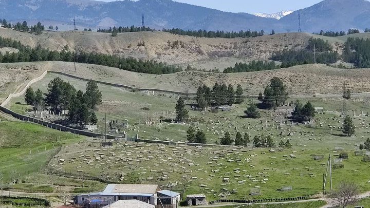 ებრაული სასაფლაო