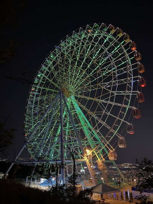 Ferris Wheel — Amusement park ride