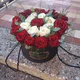 ყვავილები ვარდი