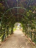 Flowers Arch