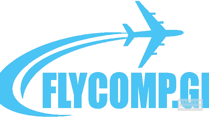 Логотип Flycomp