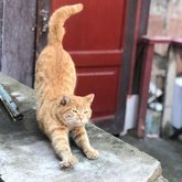 Friendly