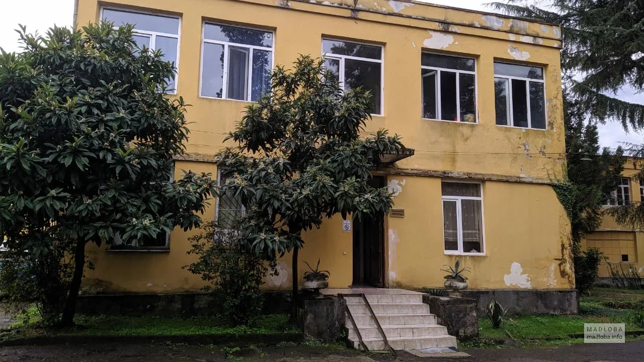Фтизиопульмонологическая больница — лечение туберкулёза и лёгочных заболеваний в Батуми