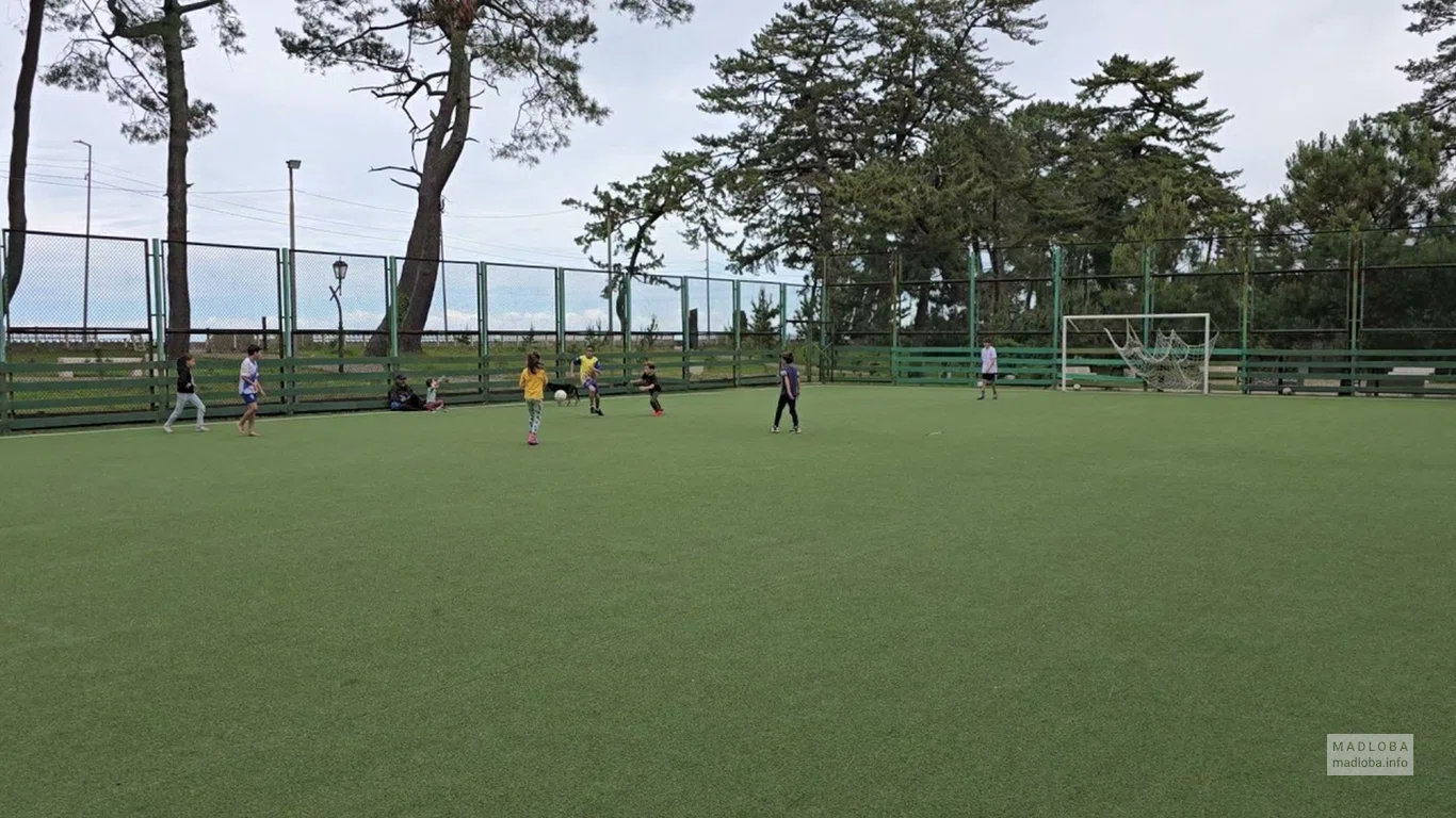 Football ground in a park on the embankment