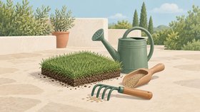 GE-114491-lawn-care-worker