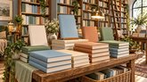 Иллюстрация книжного магазина: стопки книг на деревянном столе, высокие книжные стеллажи, лестница и растения.