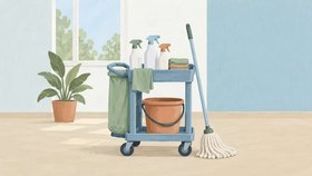 Иллюстрация для рубрики «Клининговые компании» в Грузии. Изображение не показывает конкретную организацию.
