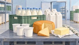 Рисованная обложка рубрики «Поставщики молока и молочной продукции» в Грузии.