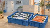 Рисованная обложка рубрики «Поставщики рыбы и рыбных продуктов» в Грузии.