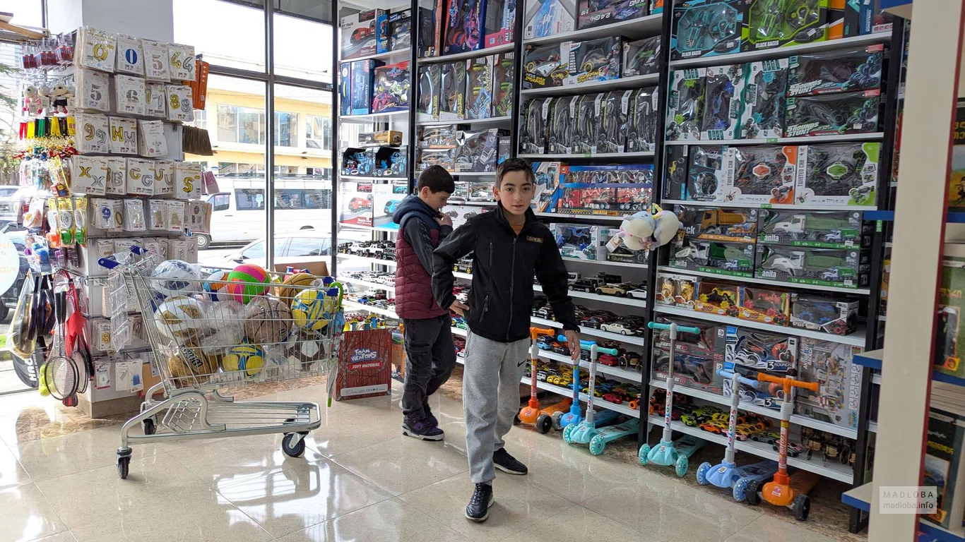 Игрушки для мальчиков в магазине игрушек GIF Toy в Батуми