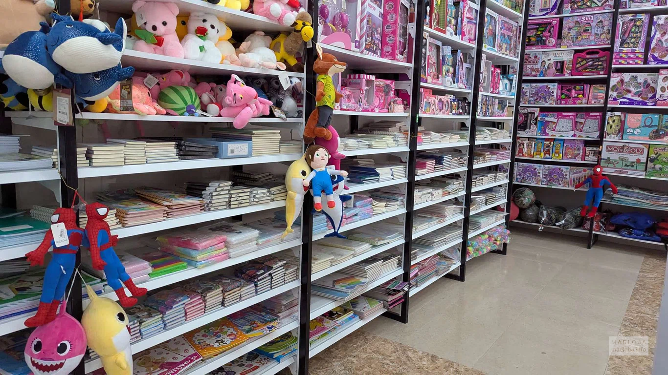 Товары на полках в магазине игрушек GIF Toy в Батуми