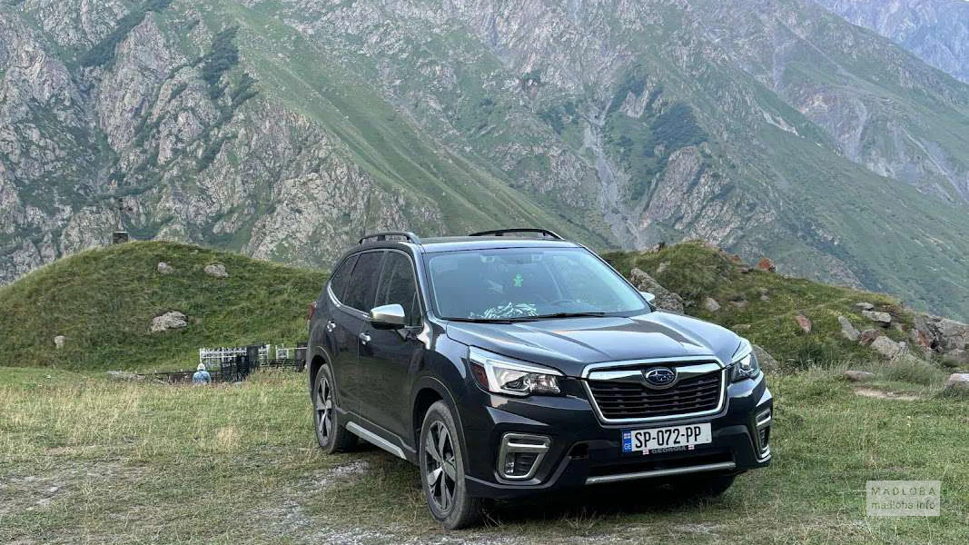 Служба проката автомобилей "GMG"