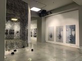 Gallery Gamrekeli
