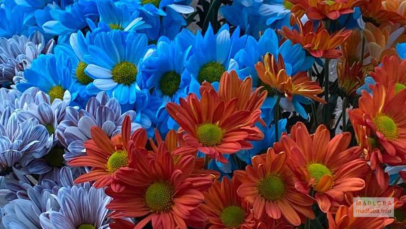 Яркий букет цветов в Garden Flowers