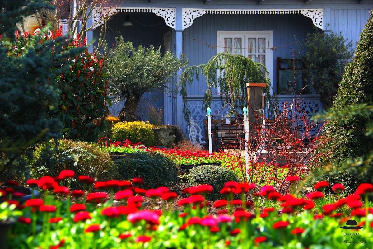 Gardenia Shevardnadze