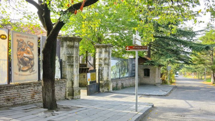 Open-air Ethnographic Museum named after G. Chitaia