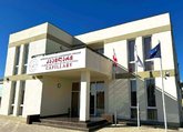 Giorgi Bregadze Capillary Medical Center
