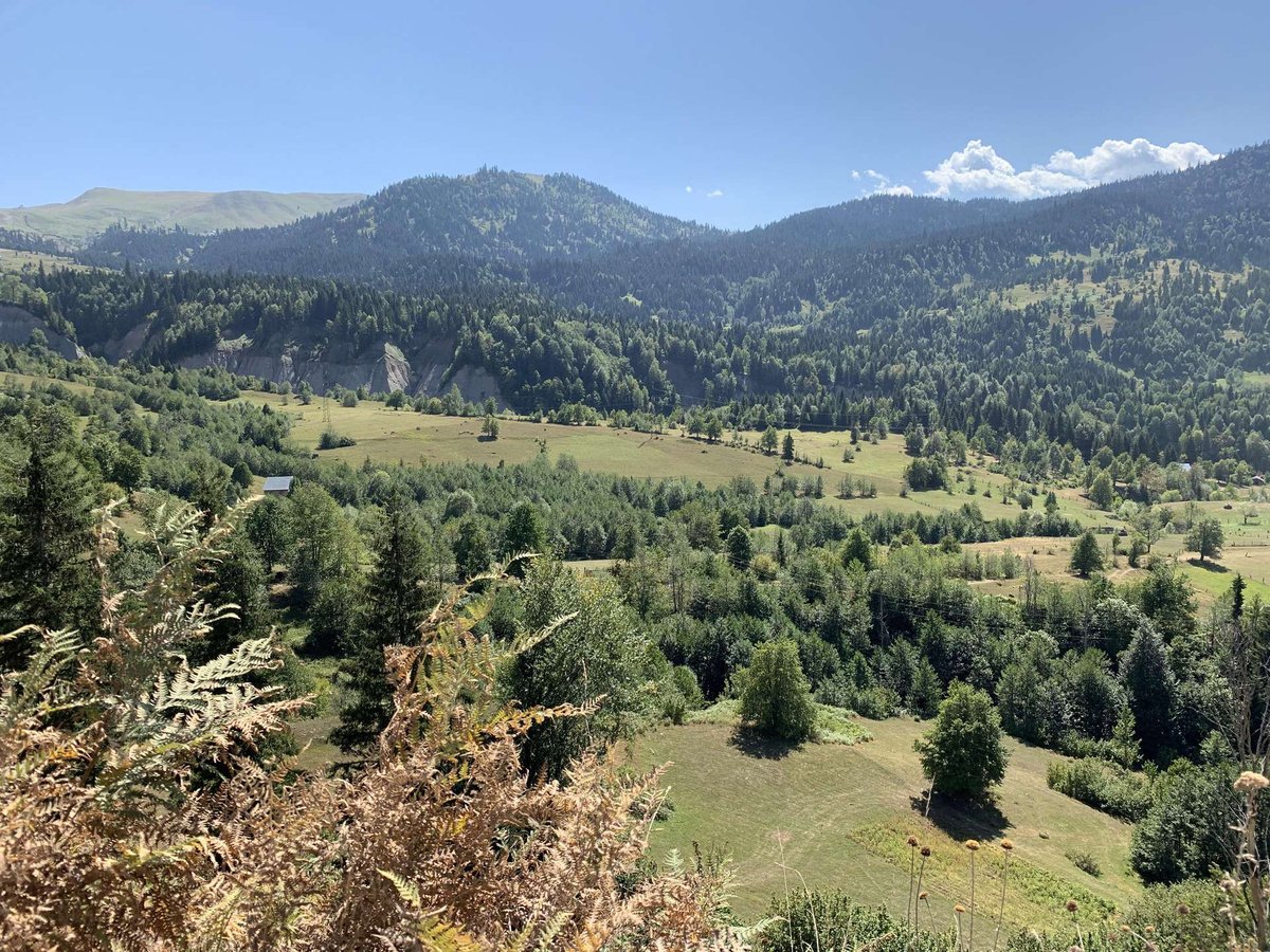 Goderdzi-01