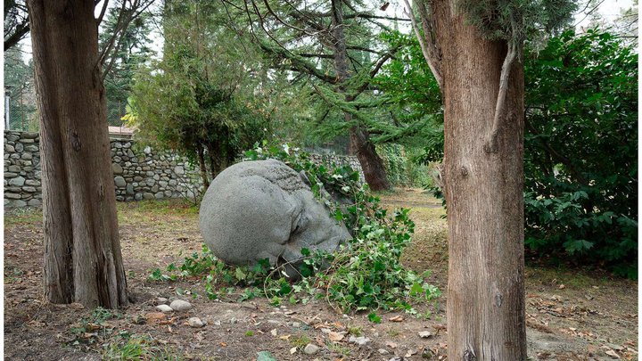 Lenin's head