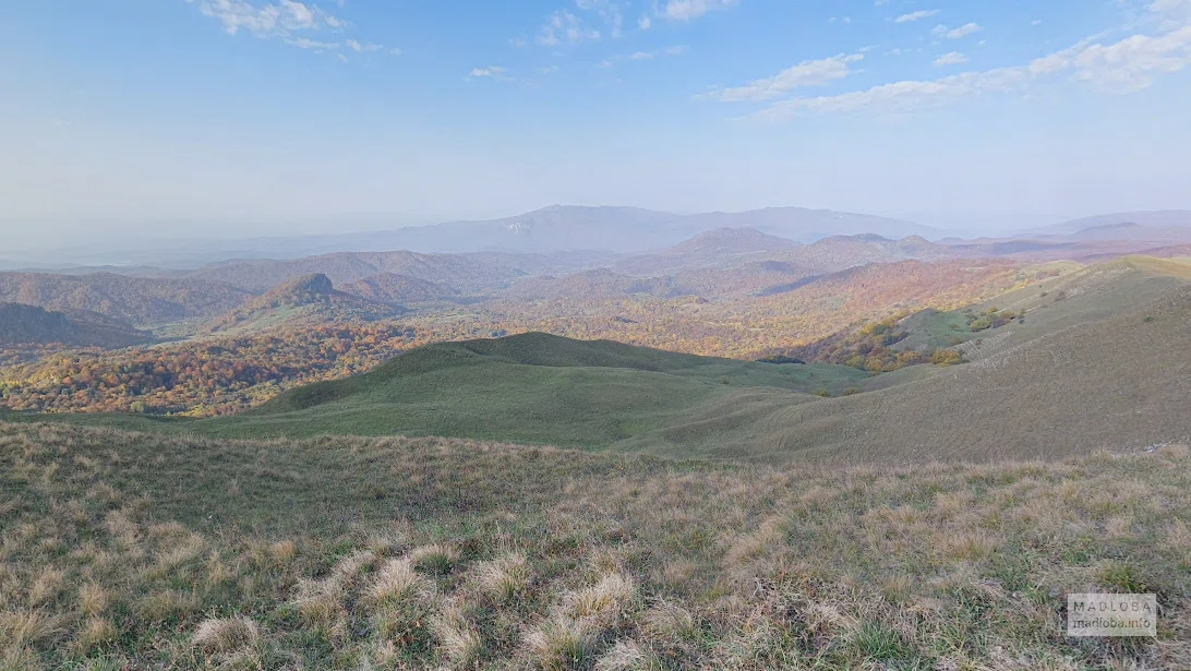 Гора Гомбори — живописный перевал и панорамная трасса в Кахети