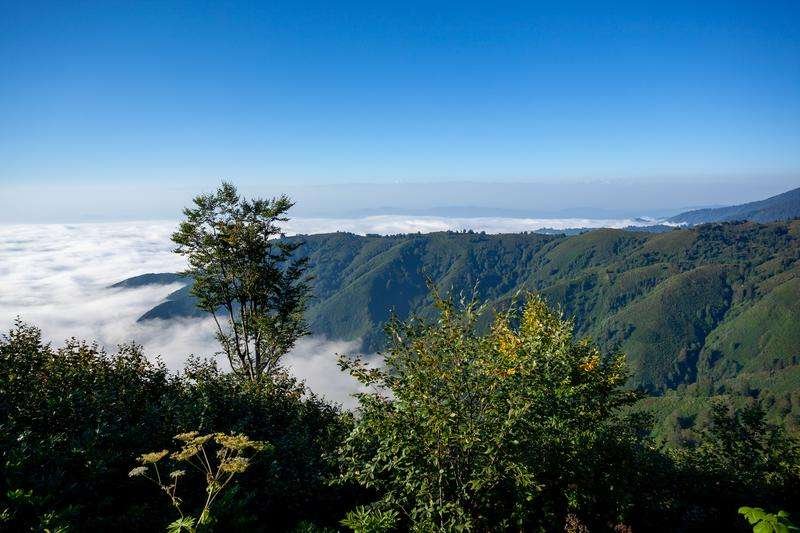 View of the Gomismta Mountains
